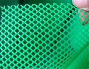 Réseau de jardinage en plastique vert HDPE à trou hexagonal pour la protection des herbes