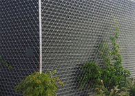 système de câble de façade de Mesh Climbing Plants Diamond Green de câble métallique du × 7 de la taille 7 de 3m