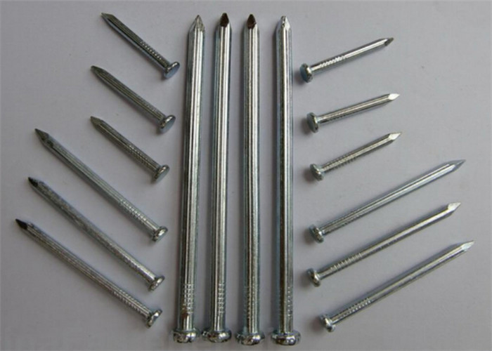 Le fil anti-corrosif en métal cloue le clou commun de fer de l'acier Q195 utilisé pour des meubles