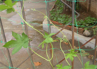 6,5 pieds de garde de plastique Protector Trellis de Mesh Netting Hdpe Garden Leaf