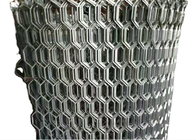 Longue durée de 55 mm de feuille métallique de maille étendue anodisée pour diverses applications
