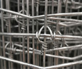 Fil d'acier à haut carbone 2mm Dia Fixed Knot Fence