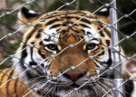 maille de corde de 7x19 1.5mm solides solubles 20 ans de Tiger And Parrot Use Zoo