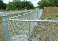 Tissu galvanisé par sécurité de la haute 1,8 M Chain Link Fence de ferme