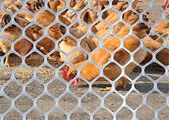 La fabrication en plastique de volaille de résistance à l'usure pour l'alimentation de canard de poulet et l'animal se protègent