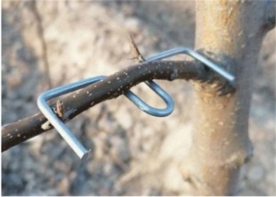 13 cm de longueur Galvanisée branche d'arbre outil de pressage Furit Arbres d'utilisation