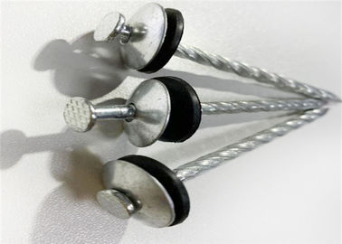 Taille de Standrad galvanisée couvrant le clou de joint, clous principaux de parapluie