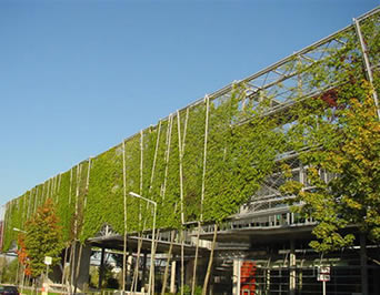 Les façades de construction vertes avec le vert sont climbable à la plupart des vignes et créer les belles façades vertes de construction qui attirent les attentions des personnes.