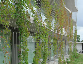 Les façades vertes couvrent à l'extérieur d'un bâtiment pour empêcher des accidents en baisse.