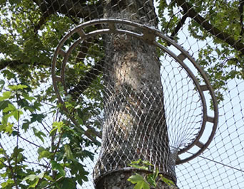 Joindre entre la fabrication de volière et un arbre grand est un filet dense qui empêche effectivement des oiseaux du vol.